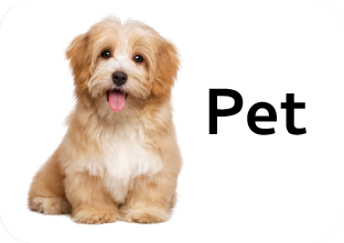 Pet