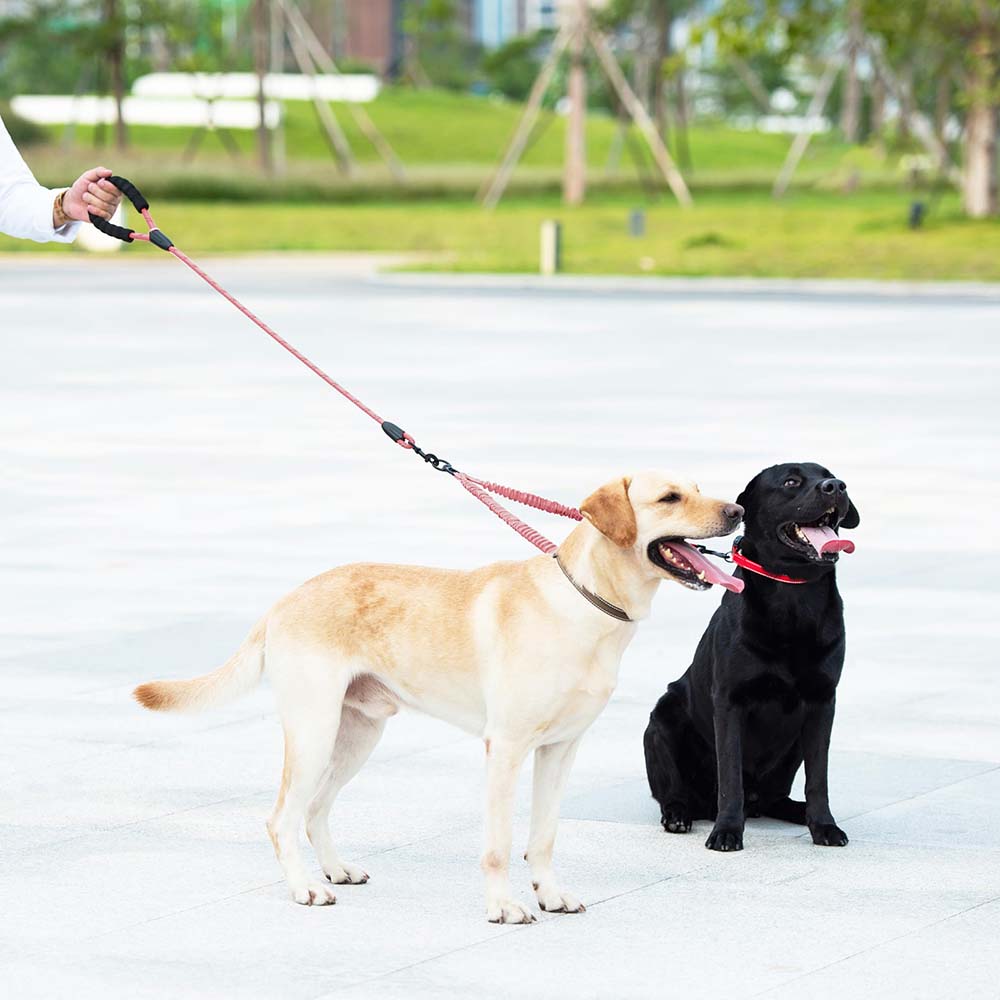 4 - Dual Dog Leash - 360° Swivel, No-Tangle Double Dog Leash with Shock Absorbing Bungee for Two Dogs, Black, Large (25-150 lbs) Red