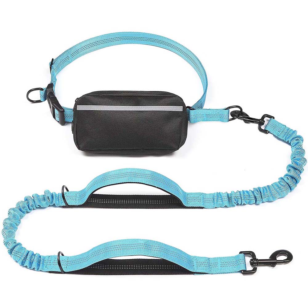 Hands Free Dog Leash with Zipper Pouch, Dual Padded Handles and Durable Bungee for Walking, Jogging and Running Your Dog (Large, 25-120 lbs) Blue