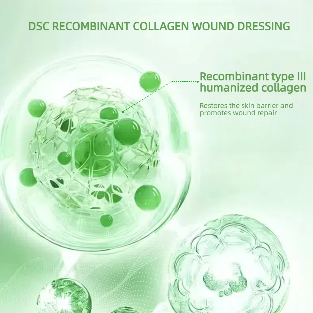 4 - Recombinant collagen wound dressing