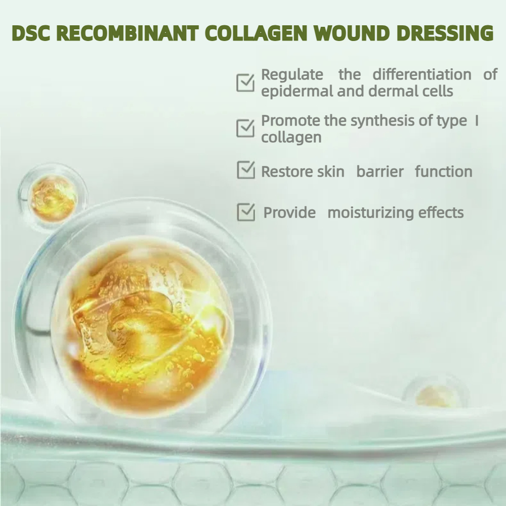 3 - Recombinant collagen wound dressing